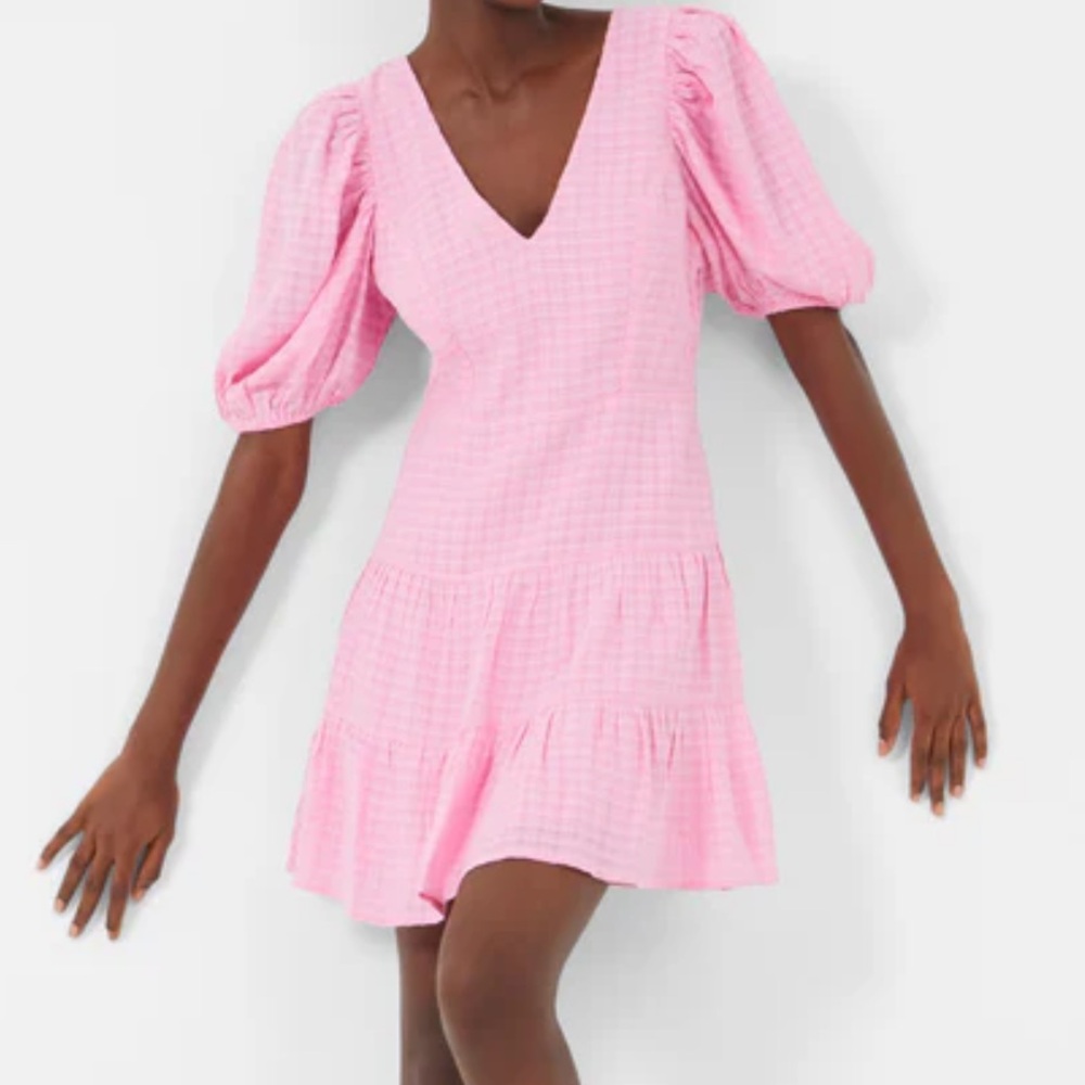 French Connection Pink Gingham Mini Dress